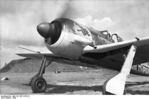 Fw 190, nose view