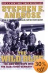 Buy 'The Wild Blue: The Men and Boys Who Flew the B-24s' from Amazon.com