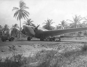 Douglas B-18 parked near palm trees