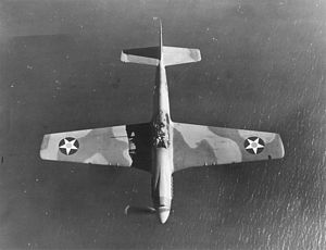 P-51 with USAAC red-dot roundel flying over water