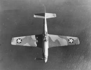 P-51A Mustang with USAAC roundels