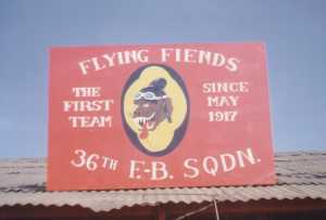 Flying Fiends, the 36th Fighter-Bomber Squadron