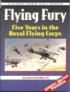 Buy 'Flying Fury' from Amazon.com